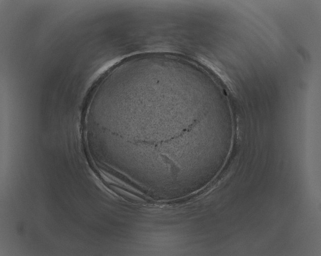 X0000116631452200912241803