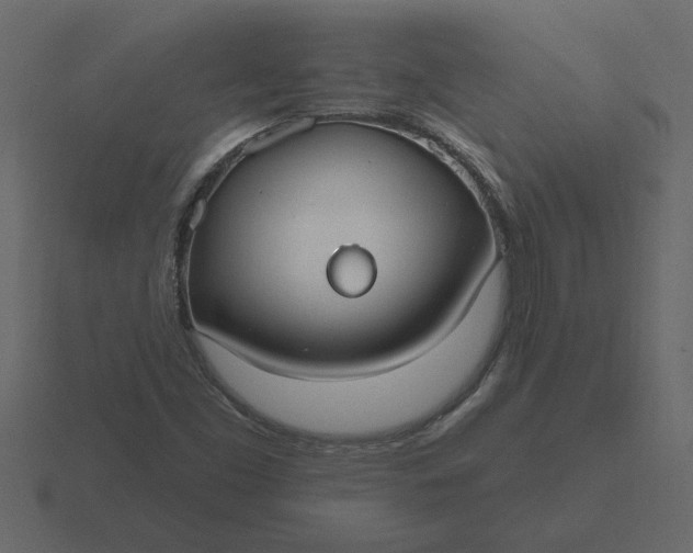 X0000116631453200912241803