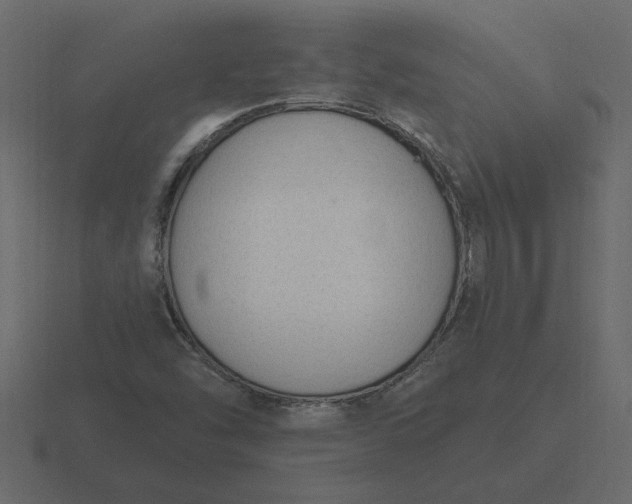 X0000116631454200912241803