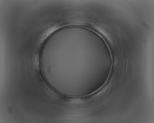 X0000116631455200912241803