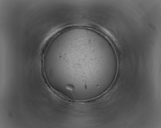 X0000116631456200912241803