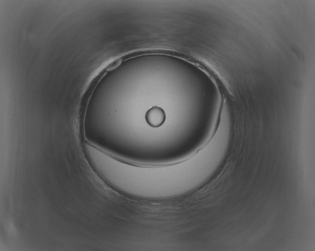 X0000116631460200912241803