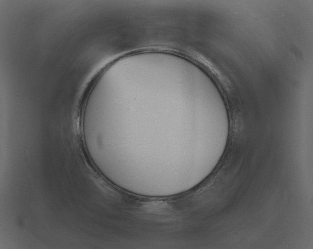 X0000116631462200912241803