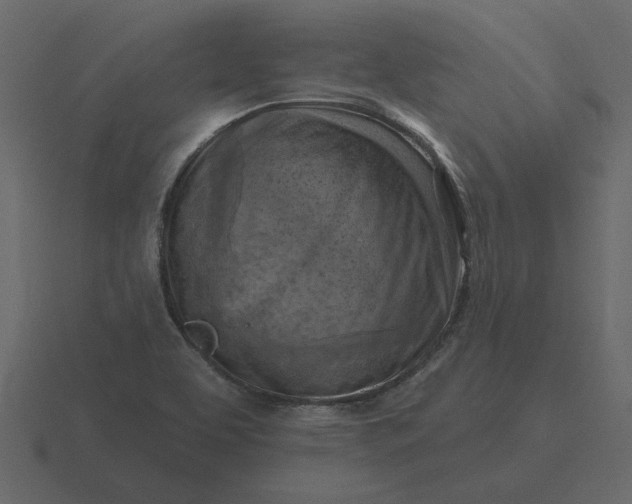 X0000116631463200912241803