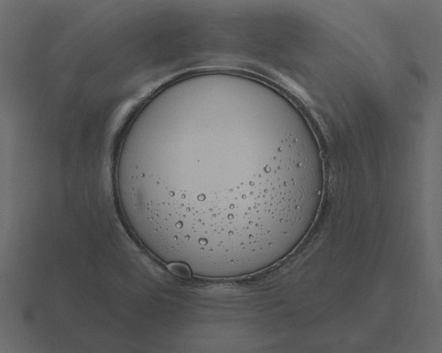 X0000116631464200912241803