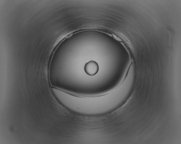 X0000116631465200912241803