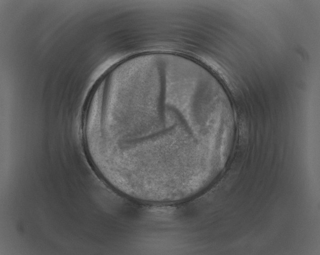 X0000116631466200912241803