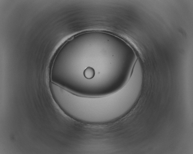 X0000116631468200912241803