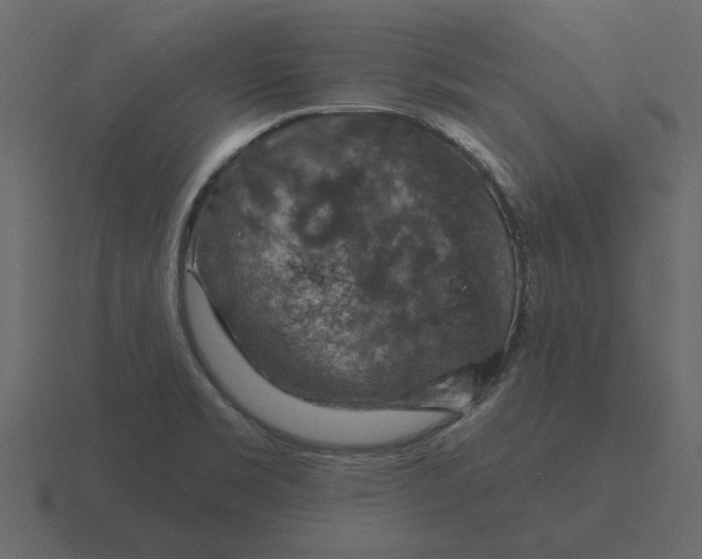 X0000116631469200912241803