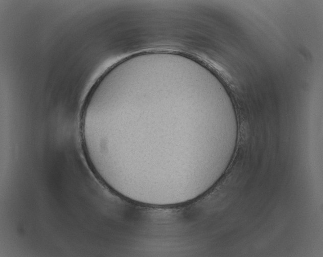 X0000116631470200912241803