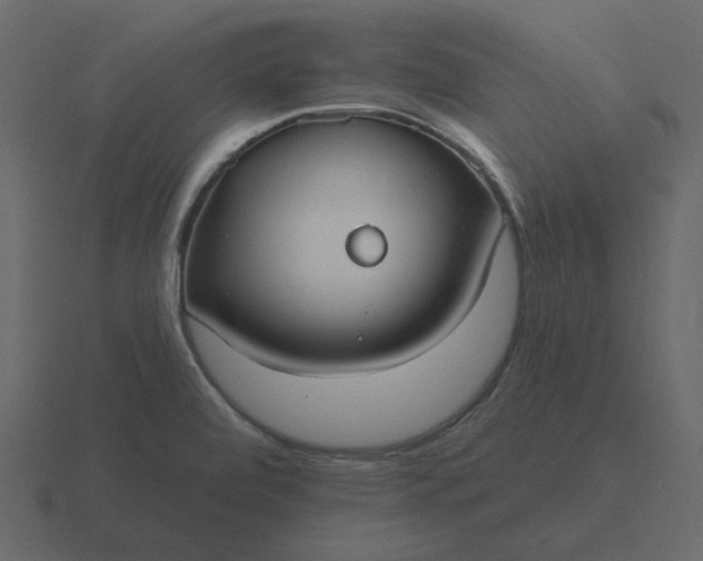 X0000116631472200912241803