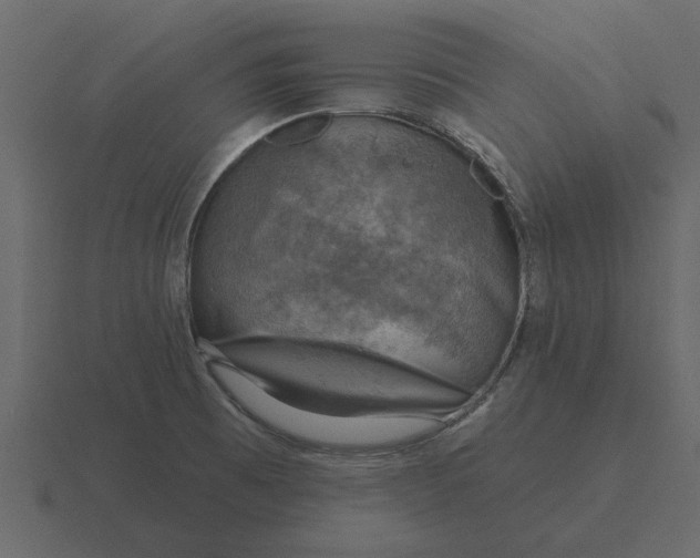 X0000116631473200912241803