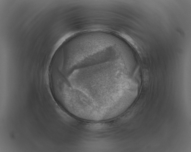 X0000116631474200912241803