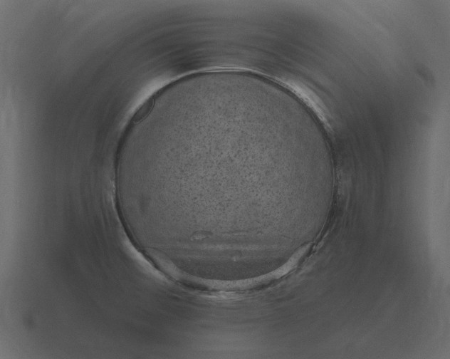 X0000116631476200912241803