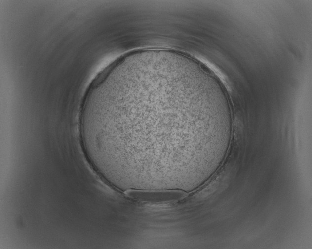 X0000116631477200912241803