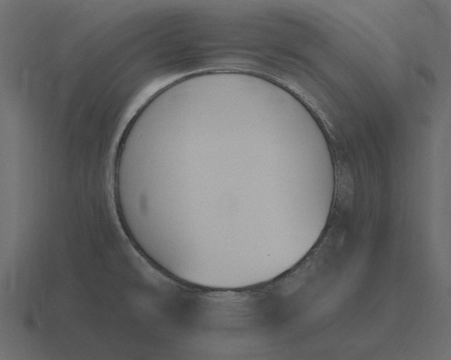 X0000116631478200912241803