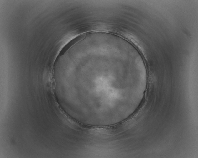 X0000116631481200912241803