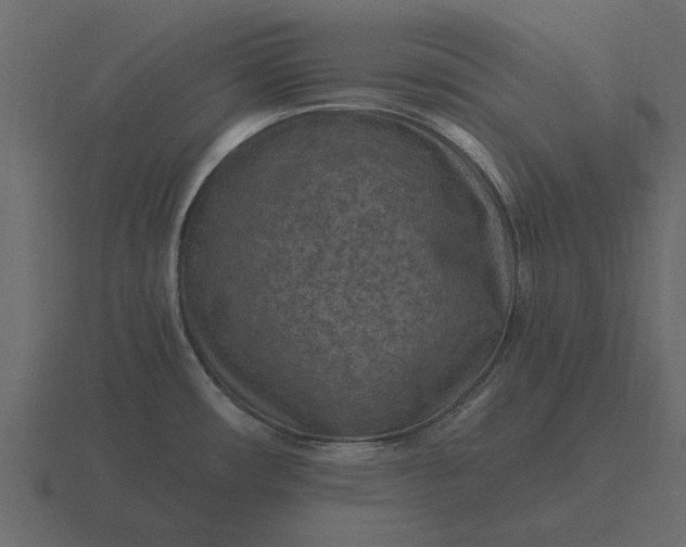 X0000116631482200912241803