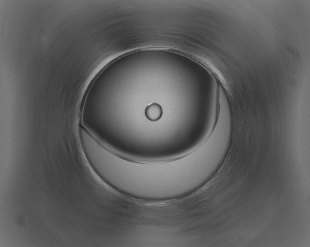 X0000116631484200912241803