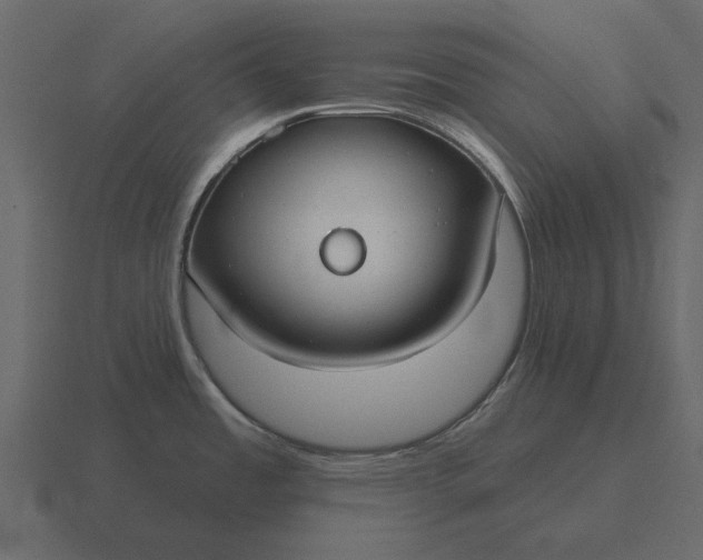 X0000116631485200912241803