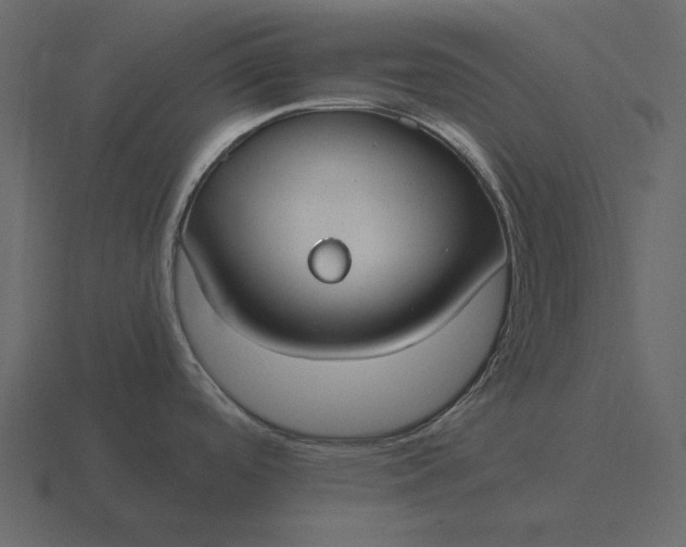 X0000116631488200912241802