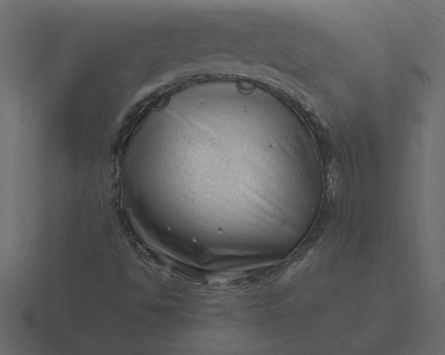 X0000116631494200912241802