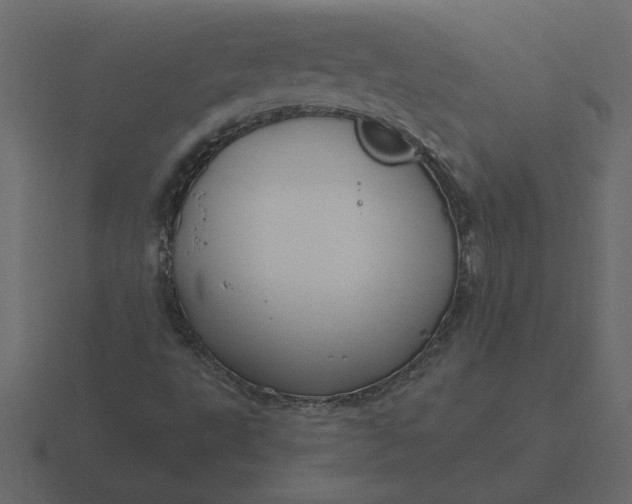 X0000116631495200912241802