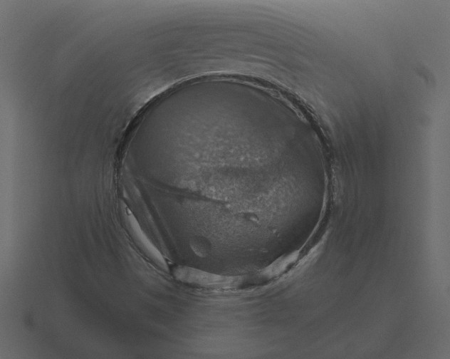 X0000116631497200912241802