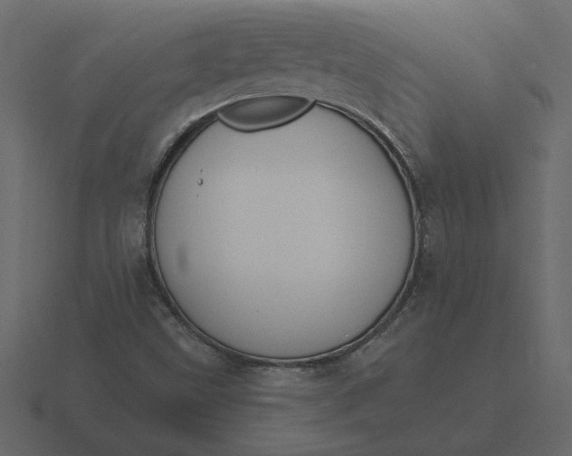 X0000116631499200912241802