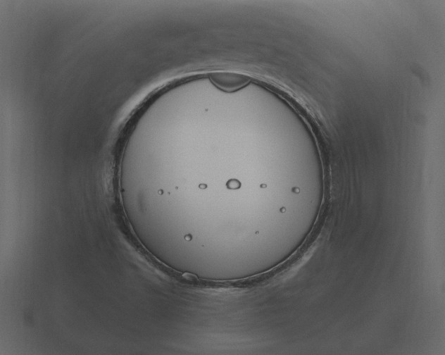 X0000116631502200912241802