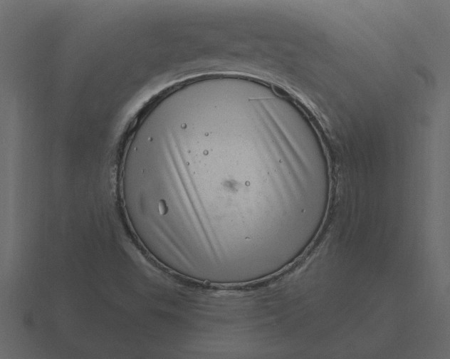 X0000116631503200912241802