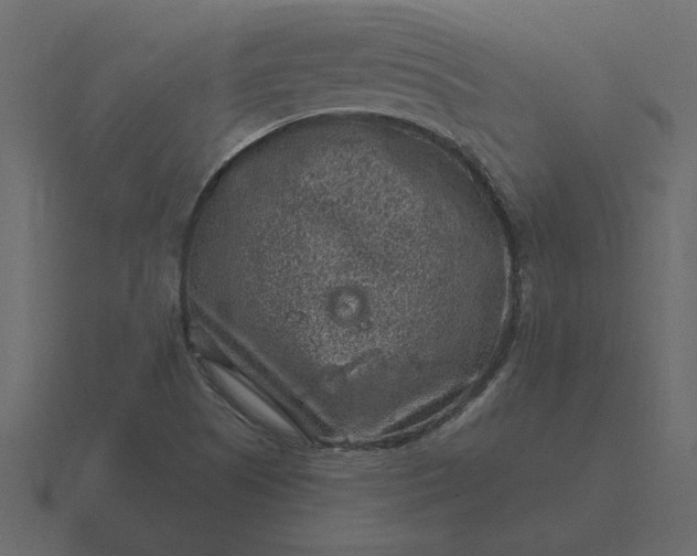 X0000116631505200912241802