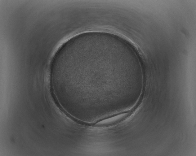 X0000116631506200912241802