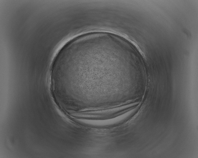 X0000116631511200912241802