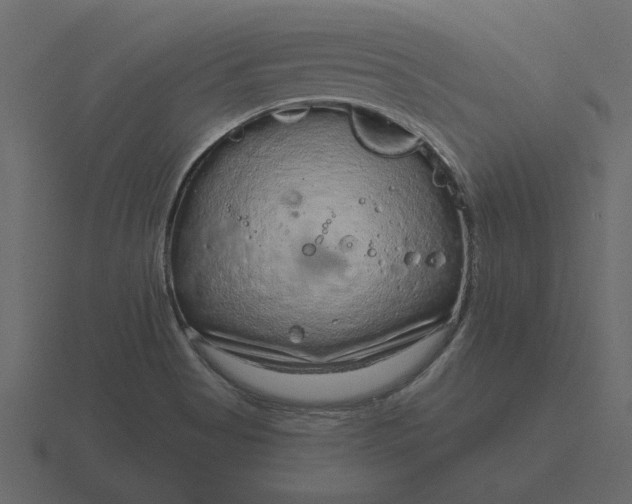 X0000116631513200912241802