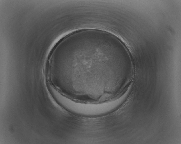 X0000116631515200912241802