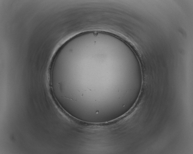 X0000116631517200912241802