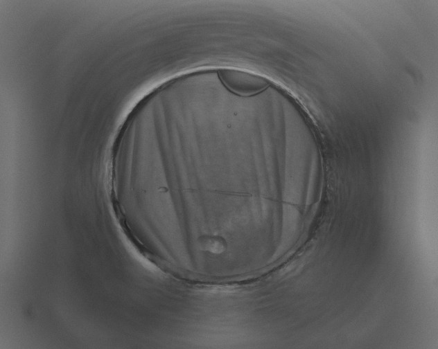 X0000116631519200912241802