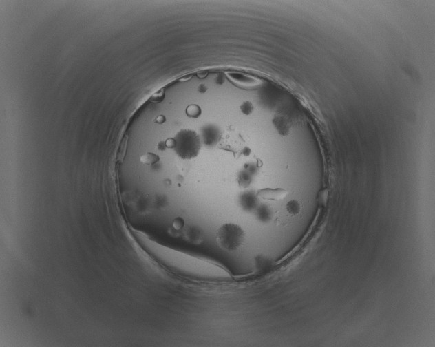 X0000116631521200912241802