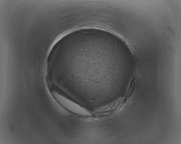 X0000116631522200912241802