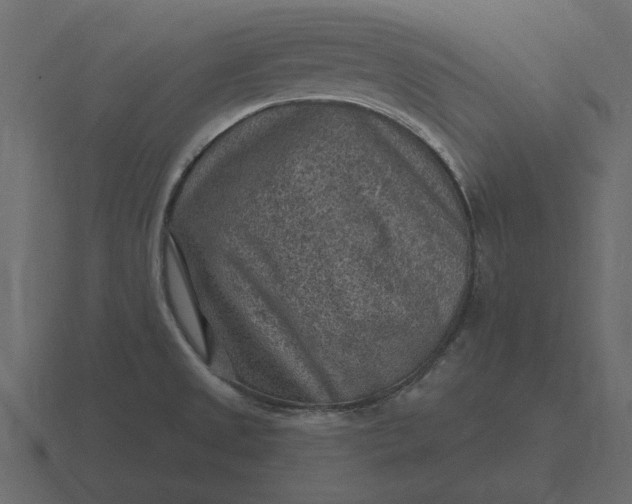 X0000116631525200912241802