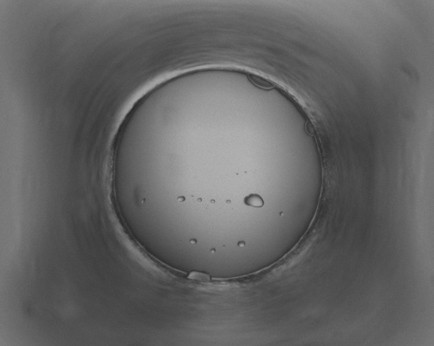 X0000116631526200912241802