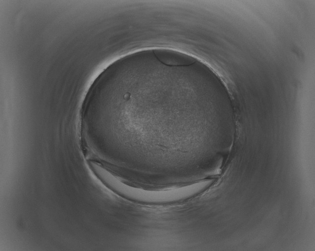 X0000116631527200912241802