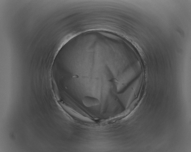 X0000116631529200912241802