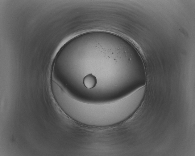 X0000116631530200912241802