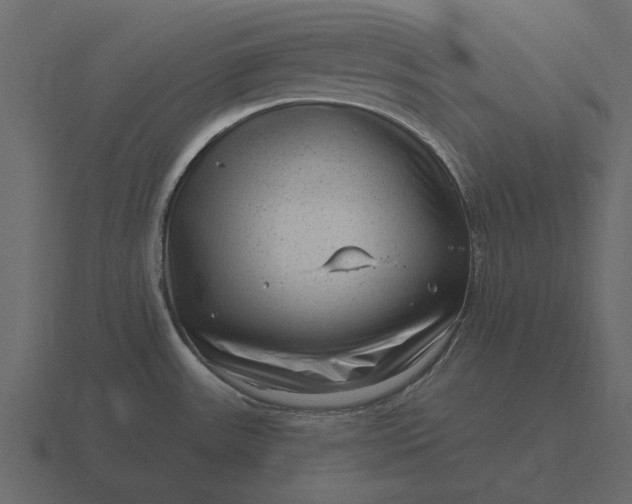 X0000116631531200912241802