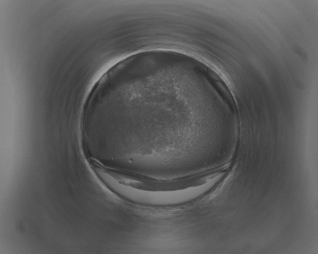 X0000116631533200912241802