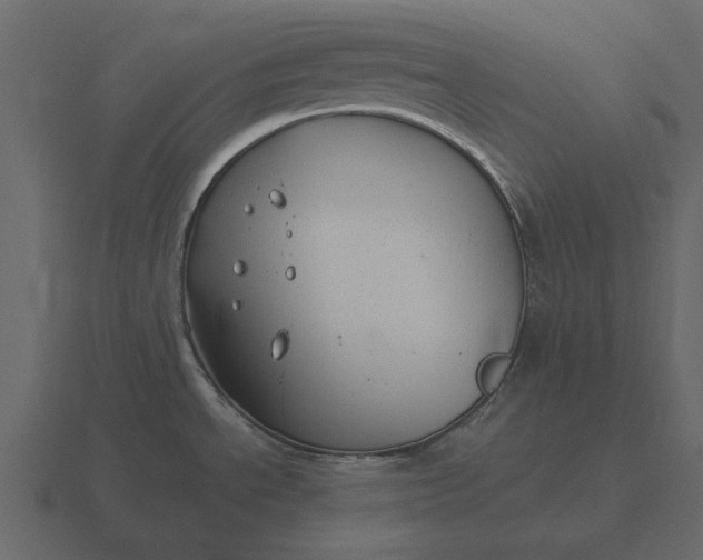 X0000116631534200912241802