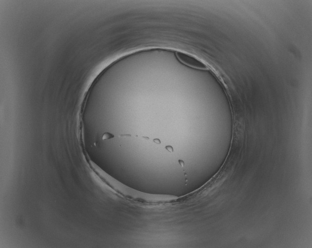 X0000116631535200912241802