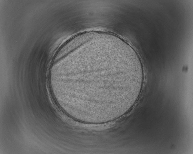 X0000116630001200912312209